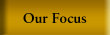 Our Focus